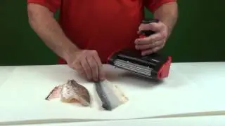 The SKINZIT&reg; on Walleye, Crappie & Bluegill