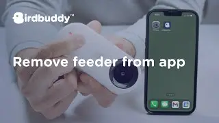 How-To: Remove a Feeder &ndash; Bird Buddy Tutorial