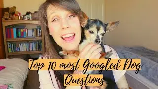 Answering Popular Dog Questions
