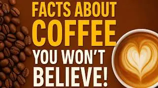Facts About Coffee You Won&rsquo;t Believe