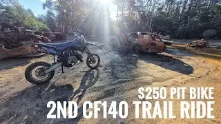 $250 Pit Bike | 2nd Ride on Crossfire CF140 Pit Bike | Gog Range Forestry Area Tasmania