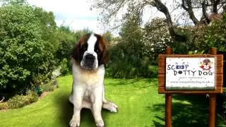 SCOOP DOTTY DOG COMMERCIAL MOVIE