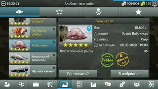 My world fishing. Поймал всех рыб игры. Все на 5 звезд.