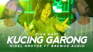 DIVA HANI - DJ KUCING GARONG MIDDLE NROTOK X BREWOG AUDIO I Barakat Music
