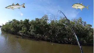 Light Tackle Snook & Jack Fishing In Florida!!!