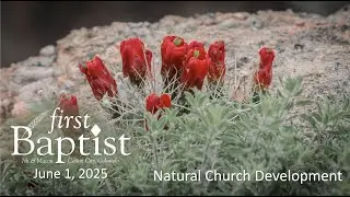 Natural Church Development - June 1, 2025