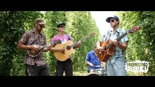 Dodgy Mountain Men -  A Speed I Can't Count (Live from Field 41 at #balebreaker)