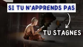 LA VIE EST UN ÉTERNEL APPRENTISSAGE | La Clé du Progrès 🌟 [Histoire Bouddhiste]