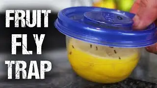 How To Make a 
