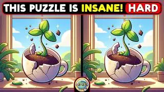 🐢🧩 Find The Difference | Are You Sharp Enough? 🧩🐢 | Quizonaut Turtle