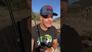 How To Build Grit And Esteem In Your Kids! #shorts #positiveparenting #gentleparenting