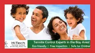 Are Termites Invading Your Home?