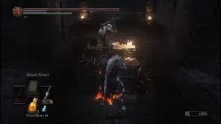 DS3 Andre Hammer