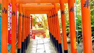 Tokyo Ueno Toshogu Shrine, Gojoten Shrine and Street Performance 上野公園　上野東照宮  五條天神社　上野ストリートパフォマンス