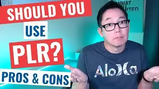 Should You Use PLR [Pros and Cons]