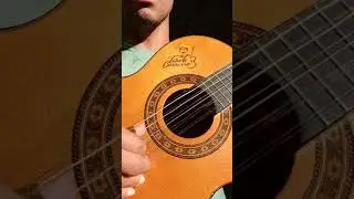 FACA QUE N&Atilde;O CORTA - SOLO DE VIOLA