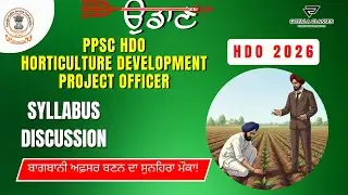 Учебный план PPSC HDO 2026 | Полная и обновлённая структура учебного плана (специалист по развити...