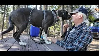 Midna the rescue dog Explores Newberry Volcano first adventure of her life.