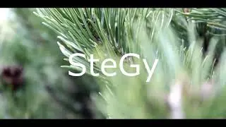SteGy - Interstellar