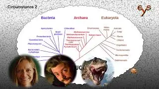 How did the Cell Nucleus became a thing? / Откуда взялось клеточное ядро?