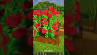 Tomatoes in Minecraft #shorts