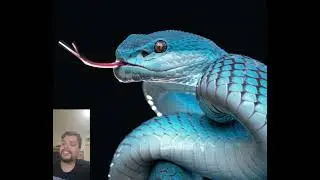 V&iacute;bora Azul (Trimeresurus insularis) 