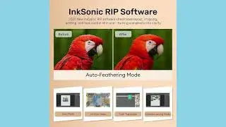 InkSonic R1390 A3 DTF Printer 2025 Review | 13