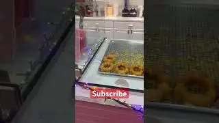 #explore #subscribe #travelvlog #travel #moochie #moochi #Donuts #Food #fyp #like #Vloglife #comment