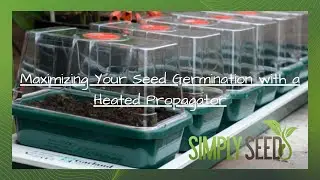 Maximizing Your Seed Germination with a Heated Propagator - Mastering Seed Germination!