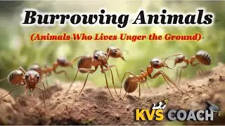 Burrowing Animals | बिल में रहने वाले जानवर | #Burrowanimals #burrow #animalsname #kvscoach