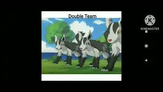 #poochyena#mightyena all moves