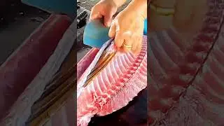 one cut at a time taiwan tuna master at work#precisioncut #foodskills #tuna