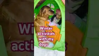 🐕 How we play | Winter mood #fun #play #funny #dogs #family #dailyshorts #snow #max