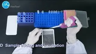 FineTest&reg; ELISA Kit Operation Guide--Sandwich