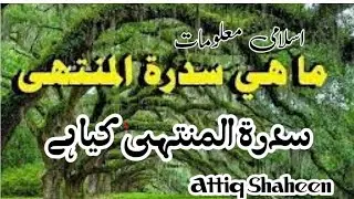 Attiq Shaheen is live!  Islamic information #virallive @Attiqshaheen