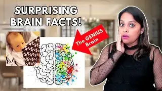 Right Brain Education Explained : Science, Benefits & Limitations You Need to Know