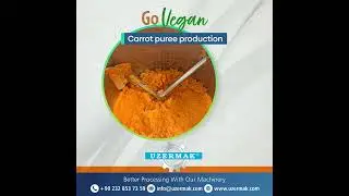 Cooker & Cooler & Mixer Carrot Puree Production