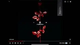 I like this song so much