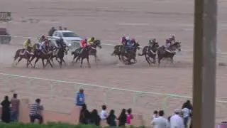 ميدان الفروسية بالاحساء لعام1440ه حفل (26)شوط السادس المركز الأول (شعبان)