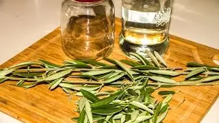 How To Make Olive Leaf Tincture DIY Home Remedy