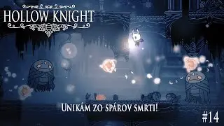 Prenasledujú ma bez prestávky! | Hollow Knight #14 | SK/CZ Let's play