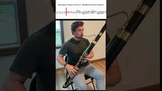 NATIONAL BASSOON DAY | Marriage of Figaro #bassoon #shorts #shortsfeed