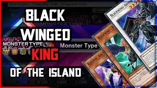 BLACKWINGS GO CRAZY IN MONSTER TYPE FESTIVAL | Yu-Gi-Oh! Master Duel