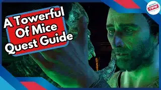 A Towerful Of Mice Quest Guide in Witcher 3