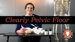 Demystifying the Pelvic Floor: Anatomy, Dysfunction & Exercises | MYo Lab Health & Wellness