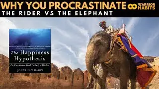 Why You Really Procrastinate - The Rider and the Elephant