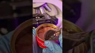 Microplastic In Fish?