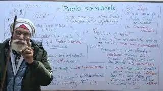 CH-11,Photosynthesis : Chemiosmosis ,Class-11,NEET Biology,NCERT