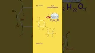 Sugar Molecular Formula | Sugar Chemical Formula | Sucrose | 3D Animation | In Science Sugar Formula