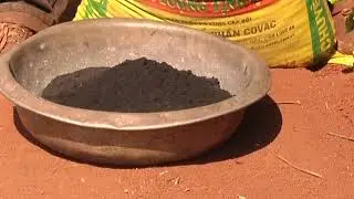 Ph&oacute;ng sự 2017 - Sử dụng ph&acirc;n hữu cơ COVAC ở tỉnh Đắk Lắk